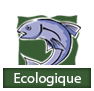 Section Écologique Logo